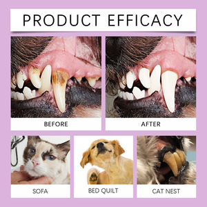 Label privé Contrôle du tartre Haleine fraîche Nettoyage des dents de la bouche <span class=keywords><strong>Spray</strong></span> buccal <span class=keywords><strong>pour</strong></span> chiens <span class=keywords><strong>Spray</strong></span> <span class=keywords><strong>pour</strong></span> chiens - Product Image 4