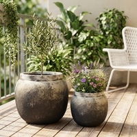 Pot de fleurs vintage en ciment texturé mat, effet vieilli et dégradé, rond et bombé, pour aménagement paysager de cour - Vente en gros