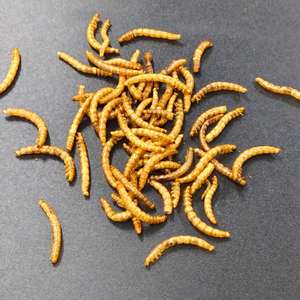 Makanan Hewan Peliharaan Kecil Kering Berkualitas Tinggi Premium Organik Bebas Bahan Tambahan Grosir - Product Image 4