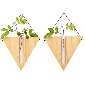 Wall Mounted Hanging Flower Pots Planters Propagation Station Test Tube Vase Wooden Stand Glass Terrarium