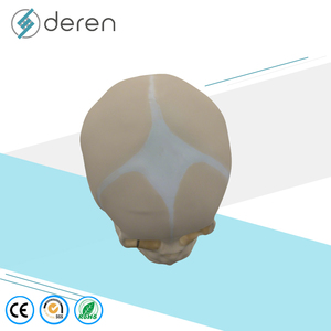 Modèle de crâne humain grandeur nature pour la science médicale, modèle d'anatomie de crâne de bébé pour l'apprentissage des enfants, outil d'affichage éducatif - Product Image 2