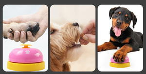 Modello piede cane campana pet formazione mentale ringer ordine del cane campana di puzzle del giocattolo - Product Image 2
