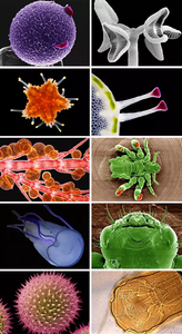 LED TXB2-D10 yeni Zoom Stereo mikroskop ile halka ışık trinoküler Stereo mikroskop 7X-45X - Product Image 5