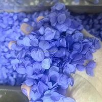 Pétales d'hortensia Anna sélectionnés à la main en gros, confettis de fleurs préservées, pétales de fleurs séchées blancs et roses pour mariage