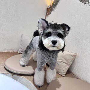 Manteau tricoté en coton pour <span class=keywords><strong>chien</strong></span>, style imprimé, automne/hiver, XXL, Scherzer Teddy Fight Coat <span class=keywords><strong>Corgi</strong></span> - Product Image 3