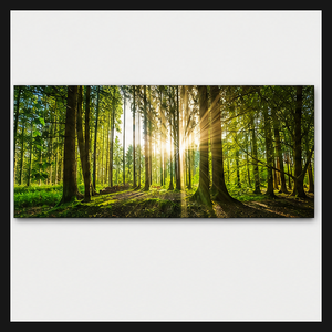 Impression sur toile de paysage forestier ensoleillé, art mural en cristal, image de forêt verte pour spa, couloir, salon, bureau, intérieurs calmes - Product Image 3