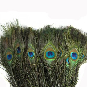 Chất Lượng Cao Mắt Lớn Con Công Lông Phổ Biến Trang Trí Nội Thất Chất Liệu Bất Tự Nhiên Con Công Lông - Product Image 3