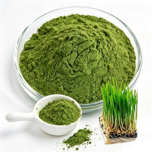 Poudre d'herbe d'orge économique en vrac, poudre d'herbe de blé de haute qualité pour jus vert, boisson instantanée, smoothie, substitut de repas - Product Image 3