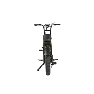 Vélo électrique à pneus larges 20 pouces avec batterie au lithium 48V 20AH, moteur sans balais, cadre en alliage d'aluminium, porte-bagages arrière, 250W/500W/750W - Product Image 6