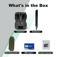 Willfine 5MP OEM/ODM Cámara de Caza Celular 4G LTE para Árboles, Impermeable IP66, Alimentación Solar/Batería, Video 1080P con IA y Mejora de Imagen