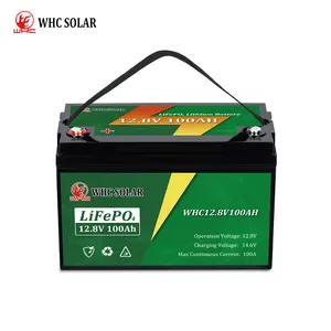 יצרני סוללות ליתיום-יון סוללת lifo4 12v 100ah 200 חבילת סוללות ליתיום-יון עבור מערכת סולארית