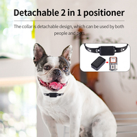 Traceur GPS anti-perte pour animaux de compagnie, mini traceur pour chien, chat, enfant, étanche, via application intelligente, visualisation de l'historique des trajets, positionnement précis