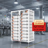 Batterie de stockage d'énergie Bos-g Pro haute tension Deye 5,12 kWh 25,6 kWh 81,92 kWh LiFePO4 Batterie solaire au lithium empilable Pack de batteries AC