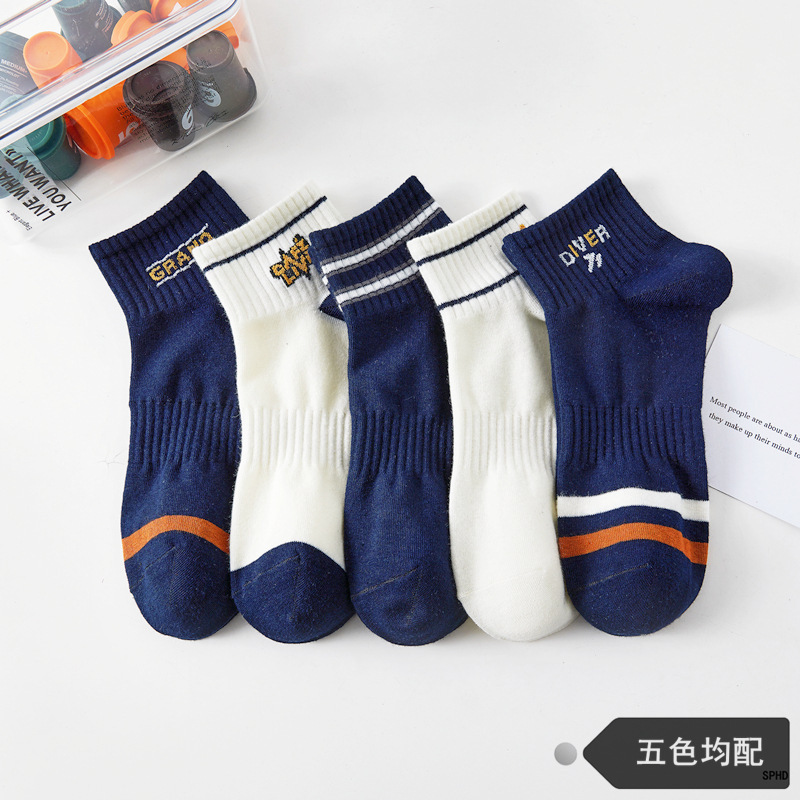 Pd431 [men's socks no. 6]]