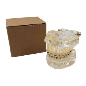 Dental Orthodontic Model Resin Typodont with Metal Bracket <b>Teeth</b> Study Teaching Demonstrator Manual Use Smiledental TM-B7-01 - Product Image 6
