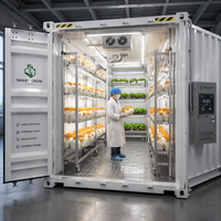 Grandes serres agricoles multi-chapelles commerciales pour culture verticale hydroponique, destinées à la recherche Pro-leaf, pour la production de laitue, de fraises et de chanvre