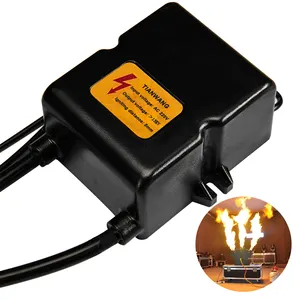 Ignition Coil High Voltage Transformer Oil Boiler Ignition Transformer For Industry