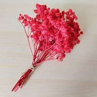 Buket Bunga Gypsophila Kering Alami Grosir, Buket Bunga Babysbreath Mini Awet untuk Rangkaian Bunga