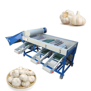 Máquina Clasificadora de Ajo Pelado de Alta Eficiencia, Máquina Automática para Romper Ajos, Máquina Clasificadora de Bulbos de Ajo - Product Image 2