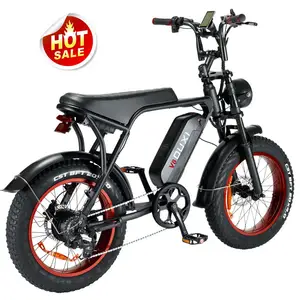 750w fat tire e bikes vintage bicycle buy from EU USA warehouse 48v 500w 1000w electric bike bicycle