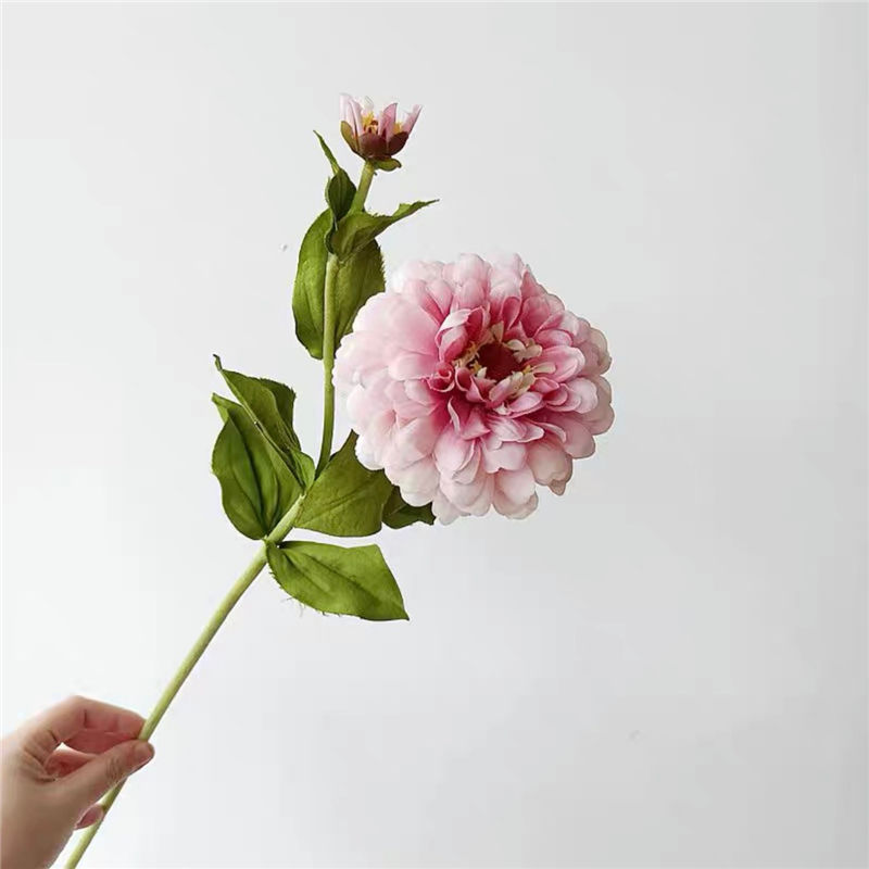 แสงสีชมพู