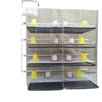4 Niveaux 120 à 320 Capacité Oiseaux Type H Batterie Galvanisée à Chaud Élevage de Volaille Cage à Poulets pour Petits Poussins