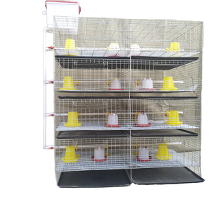 4 livelli 120 alla 320 capacità di uccelli tipo batteria di tipo H gabbia di pollo <span class=keywords><strong>per</strong></span> allevamento di pollame zincato a caldo <span class=keywords><strong>per</strong></span> piccoli <span class=keywords><strong>pulcini</strong></span> - Product Image 1