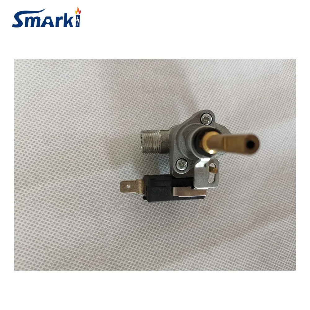 Elektronik Katup Gas untuk Kompor Gas Kompor Tanam Gas Valve dengan Micro Switch