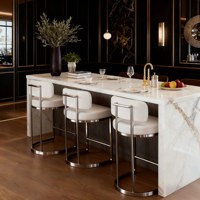 Tabouret de bar Bauhaus moderne et minimaliste en acier inoxydable pour usage domestique, tabouret haut de comptoir avec dossier, non rotatif, non réglable