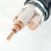 Câble d'alimentation YJV isolé XLPE 0,6/1 kV à âme en cuivre pour alimentation industrielle souterraine