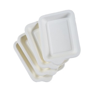 One-time Compostable Eco-friendly <strong>Mini</strong> Food <strong>Tray</strong>, Biodegradable Cane <strong>Dessert</strong> Cake Plate, One-time <strong>Disposable</strong> Tableware - Product Image 6