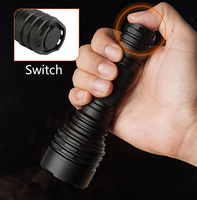Lampe torche LED UVC portable à ondes courtes 254 nm avec filtre ZWB3, lampe torche LED UV rechargeable pour la détection des minéraux