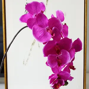 Amazon Hot Bán Top Grade Long Stem Bất Cảm Ứng Khô Hoa Nhân Tạo Bướm Orchid