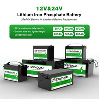 Batterie au lithium 12V 24V 100ah 200ah 300ah 50ah 12V/24V LiFePO4 pour l'énergie solaire, prix d'usine