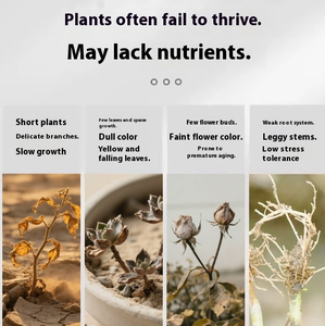 חלבון דגים אורגניים מסיסים דשן חלבון מים מסיסים תוספת חומצת אמינו עבור ירקות אצות פירות ודגי חלבון - Product Image 3