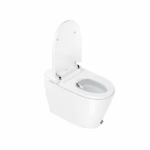 07M Automatic Toilet With Warm Air Dryer Intelligent Ceramic Fancy Chinese 1 Piece Wc Toilet