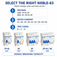 Disjoncteur différentiel RCBO NXBLE-63 230V 400V Courbe B C 6kA pour Distributeurs Électriques (Vente en Gros)