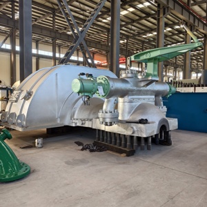 Конденсационные паротурбинные установки для выработки электроэнергии 0.3МВт-50МВт: Экологичная тепловая электростанция с насосом и ПЛК - Product Image 5