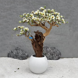 <span class=keywords><strong>Albero</strong></span> di Magnolia <span class=keywords><strong>Artificiale</strong></span> HK in Legno, <span class=keywords><strong>Albero</strong></span> di Ciliegio in Fiore <span class=keywords><strong>Artificiale</strong></span>, Pianta <span class=keywords><strong>Artificiale</strong></span> per Spazi Interni ed Esterni - Product Image 4