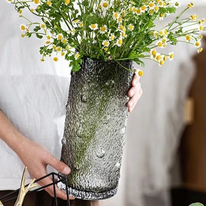 Jarrón de cristal nórdico Ins Simple pintado en gris, Color primario transparente para arreglos florales para sala de estar, flor hidropónica de Lirio - Product Image 4