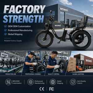 <span class=keywords><strong>Tricycle</strong></span> <span class=keywords><strong>électrique</strong></span> à gros pneus pour adultes, moteur 250W, <span class=keywords><strong>tout</strong></span>-<span class=keywords><strong>terrain</strong></span>, certifié CE FCC, fabrication OEM ODM - Product Image 6