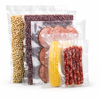 Sac d'emballage sous vide transparent de qualité alimentaire en PA/PE, scellage robuste pour la conservation de la viande et des fruits de mer, fournisseur OEM