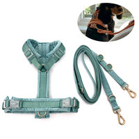 Harnais pour chien à boucle à dégagement rapide, facile à mettre et à enlever, laisse réglable mains libres, harnais gilet pour la promenade quotidienne