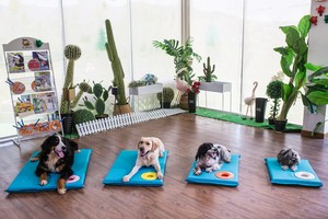 Công nghiệp PVC Bạt xe tải Bìa Poly Tarp không thấm nước độ bền kéo cao tán pvdf vải không thấm nước độ bền kéo màng - Product Image 4