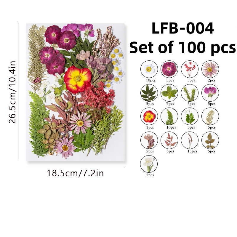 LFB-004