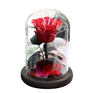 Vente flash eBay, prix bas, roses rouges et roses éternelles, mini petit prince, <span class=keywords><strong>rose</strong></span> préservée dans un dôme en verre - Product Image 3