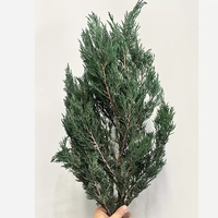 Kerstdecoratiemateriaal: Echte, natuurlijke, geconserveerde cipressen en natuurlijke dennen voor bruiloft- en huisdecoratie