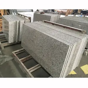 Dự Án Căn Hộ Chế Tạo Loại Đá Granite Và Mặt Bàn Nhà Bếp Bằng Đá Granite Màu Trắng