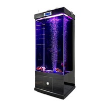 Aquarium rectangulaire en verre moderne, durable et écologique de 32 L, décoration paysagère pour la maison, pour le salon, aquarium et accessoires