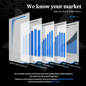 <span class=keywords><strong>GOSEN</strong></span> Top 10 Importación Canadá Almacén 1500w Bicicleta Eléctrica Pequeña para Adultos Mini Ebike con Asistencia Eléctrica para Ciudad para Europa Reino Unido - Product Image 2